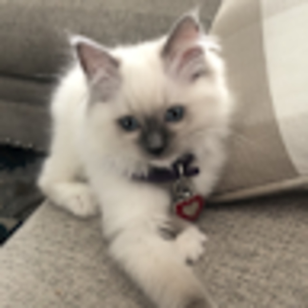 Meet your Posher, Karina